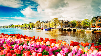 Tulpankryssning i Holland